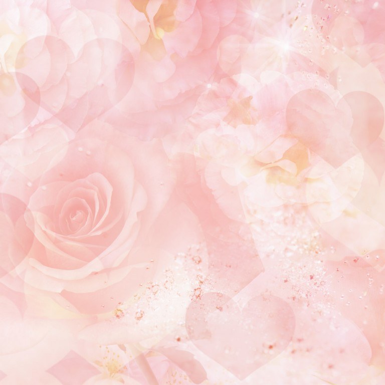 Pink roses
